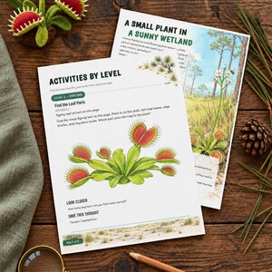 May include: Two educational activity sheets about Venus flytraps featuring illustrations of the plant, text titled Activities by Level and A Small Plant in a Sunny Wetland, a felt Venus flytrap toy, a magnifying glass, and a pencil.