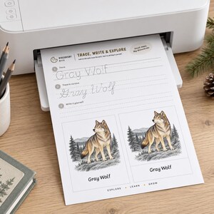 Puede incluir: Una impresora blanca emite una hoja de ejercicios titulada Discovery Bites Trace, Write & Explore. La p&aacute;gina incluye el texto Gray Wolf para calcar, pr&aacute;ctica de cursiva y dos ilustraciones de un lobo gris en un bosque con la etiqueta Gray Wolf.
