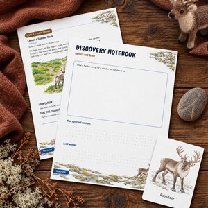 May include: Two white paper sheets titled Discovery Notebook and Choose a Summer Route with illustrations of reindeer and tundra landscapes, alongside a small rectangular card featuring a reindeer illustration and the word Reindeer.