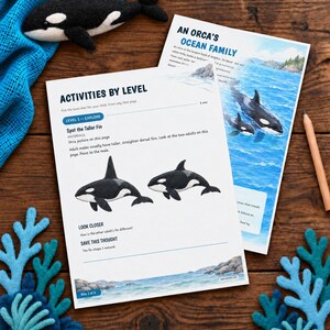 May include: Two educational activity sheets titled An Orca's Ocean Family and Activities By Level, featuring illustrations of orcas, text, and prompts. A felt orca toy, blue felt coral pieces, and a wooden pencil are arranged around the papers.
