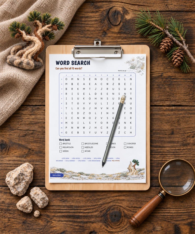 May include: A word search puzzle sheet on a wooden clipboard with a pencil resting diagonally across the grid. The sheet features the title WORD SEARCH, a 12 by 12 letter grid, a word bank, and illustrations of a mountain landscape.