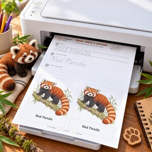 Puede incluir: Una impresora blanca imprime una hoja de ejercicios titulada Trace, Write & Explore con texto e ilustraciones de un panda rojo. Un peque&ntilde;o juguete de ganchillo de panda rojo se encuentra cerca, junto a l&aacute;pices de colores y un cuaderno.