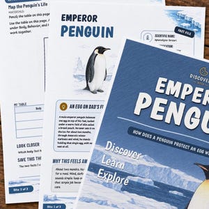 May include: Three educational activity sheets about Emperor Penguins featuring blue and white text, illustrations of penguins in icy landscapes, and headers like Level 2 Discover, Fact File, and Discover Learn Explore with Bite 1, 2, and 3 labels.
