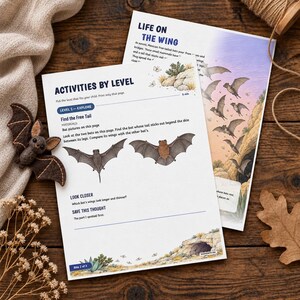 May include: Two educational activity sheets titled Activities by Level and Life on the Wing, featuring illustrations of bats, text prompts for observation, and a small felt bat figurine placed on a wooden surface with dried flowers.