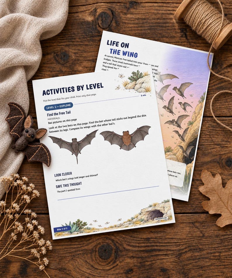 May include: Two educational activity sheets titled Activities by Level and Life on the Wing, featuring illustrations of bats, text prompts for observation, and a small felt bat figurine placed on a wooden surface with dried flowers.