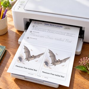 May include: A white printer outputting a worksheet titled Trace, Write & Explore featuring the Mexican Free-tailed Bat. The page includes tracing exercises in print and cursive, and two illustrations of the bat flying near a cave entrance.