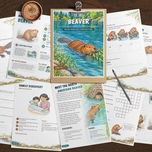 Puede incluir: Una colecci&oacute;n de hojas de actividades educativas sobre castores, con ilustraciones de castores en el agua y cerca de madrigueras, crucigramas y texto que incluye "BEAVER", "ACTIVITIES BY LEVEL" y "MEET THE NORTH AMERICAN BEAVER".