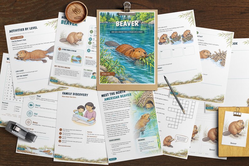 Puede incluir: Una colecci&oacute;n de hojas de actividades educativas sobre castores, con ilustraciones de castores en el agua y cerca de madrigueras, crucigramas y texto que incluye "BEAVER", "ACTIVITIES BY LEVEL" y "MEET THE NORTH AMERICAN BEAVER".