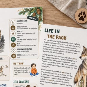 Puede incluir: Dos hojas educativas sobre lobos grises con ilustraciones de lobos en entornos naturales, una ficha t&eacute;cnica con datos cient&iacute;ficos y texto titulado Life in the Pack. Una ficha de madera circular con una huella de lobo marr&oacute;n oscuro est&aacute; colocada cerca.