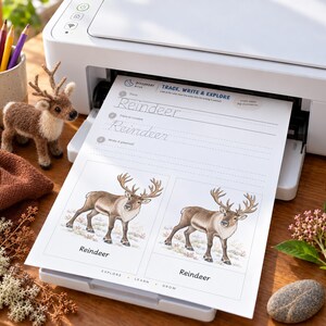 May include: A white printer outputting a worksheet titled Trace, Write & Explore with the word Reindeer. The page features dashed lines for handwriting practice and two illustrations of reindeer. A small felt reindeer figurine sits nearby.