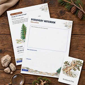 May include: Two white paper sheets titled Discovery Notebook with Reflect and Draw prompts, and a small card labeled Bristlecone Pine. The sheets feature illustrations of a pine tree and a blank box for drawing a bristlecone cone with tiny bristles.