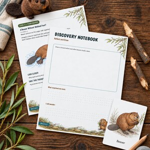 Puede incluir: Una hoja de actividades Discovery Notebook con una ilustraci&oacute;n de castor, una consigna de dibujo y secciones para notas. Incluye una peque&ntilde;a figura de castor de fieltro, una tarjeta informativa y un l&aacute;piz de madera sobre una superficie de madera.