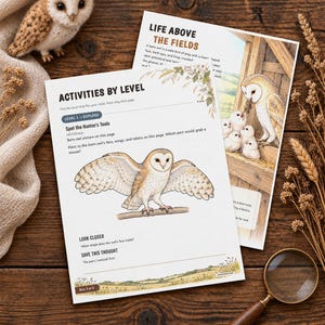Puede incluir: Dos hojas de actividades educativas sobre lechuzas comunes con ilustraciones de aves en vuelo y en un nido. El texto incluye encabezados como Activities by Level y Life Above the Fields, con preguntas para identificar caracter&iacute;sticas del ave.