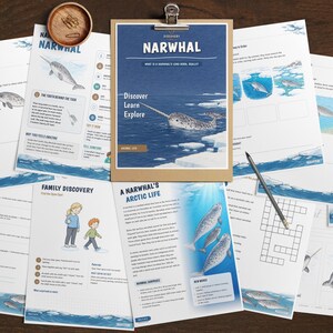 Puede incluir: Una colecci&oacute;n de hojas de actividades educativas sobre narvales, con ilustraciones del mam&iacute;fero marino, encabezados de texto como 'Narwhal' y 'A Narwhal's Arctic Life', crucigramas y diagramas, dispuestos sobre una superficie con un portapapeles.