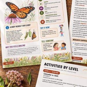 May include: Educational printables about the monarch butterfly featuring illustrations of the insect, chrysalis, and caterpillar. The pages include a fact file, life cycle information, and activity prompts with text headers like Monarch Butterfly and Activities by Level.