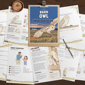 Puede incluir: Una colecci&oacute;n de hojas de actividades educativas sobre lechuzas comunes, con ilustraciones de aves en vuelo y en nidos, encabezados como Barn Owl y Life Above the Fields, un portapapeles de madera, un l&aacute;piz y un peque&ntilde;o cuenco de madera.