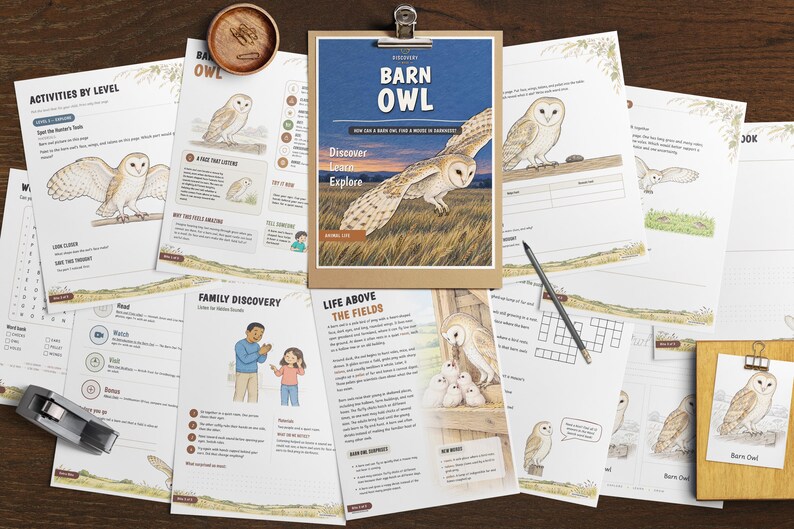 Puede incluir: Una colecci&oacute;n de hojas de actividades educativas sobre lechuzas comunes, con ilustraciones de aves en vuelo y en nidos, encabezados como Barn Owl y Life Above the Fields, un portapapeles de madera, un l&aacute;piz y un peque&ntilde;o cuenco de madera.