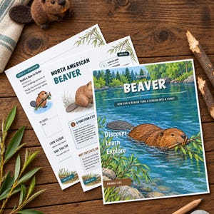 Puede incluir: Hojas de actividades educativas sobre castores con ilustraciones de castores en el agua, texto titulado Beaver, North American Beaver y Build a Dam in Order, acompa&ntilde;adas de una peque&ntilde;a figura de castor de fieltro y un l&aacute;piz de madera.