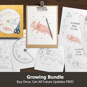 Axolotl Educational Bundle | Life Cycle Anatomy Posters | Growing Collection Printables | Homeschool Science Biology Resources
