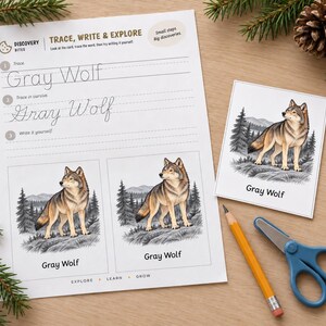 Puede incluir: Una hoja de trabajo educativa blanca titulada Discovery Bites Trace, Write & Explore con el texto Gray Wolf, una tarjeta a juego con la ilustraci&oacute;n de un lobo, un l&aacute;piz amarillo y tijeras azules. La hoja incluye pr&aacute;ctica de escritura cursiva.