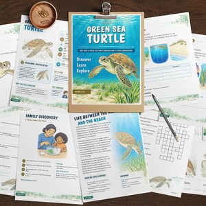 Puede incluir: Una colecci&oacute;n de hojas de actividades educativas sobre tortugas marinas verdes, con ilustraciones de tortugas, h&aacute;bitats oce&aacute;nicos y texto que incluye "Green Sea Turtle", "Discover Learn Explore" y "Life Between the Sea and the Beach".