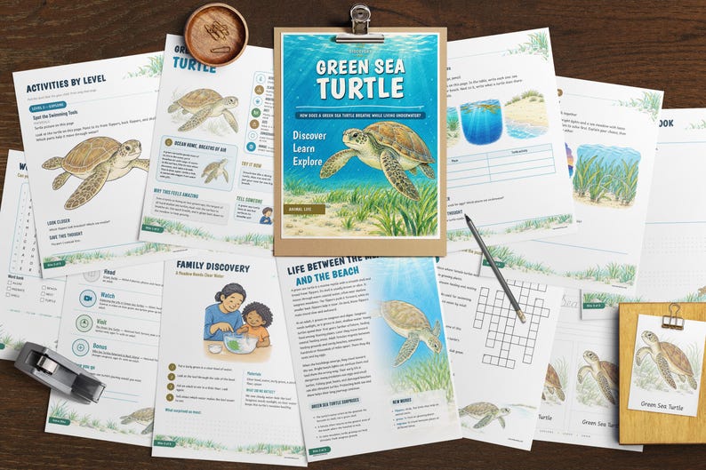 Puede incluir: Una colecci&oacute;n de hojas de actividades educativas sobre tortugas marinas verdes, con ilustraciones de tortugas, h&aacute;bitats oce&aacute;nicos y texto que incluye "Green Sea Turtle", "Discover Learn Explore" y "Life Between the Sea and the Beach".