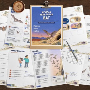 May include: A collection of educational activity sheets about the Mexican free-tailed bat, featuring illustrations of bats in flight, text, crossword puzzles, and diagrams. A wooden clipboard holds the main page, and a pencil rests on the papers.