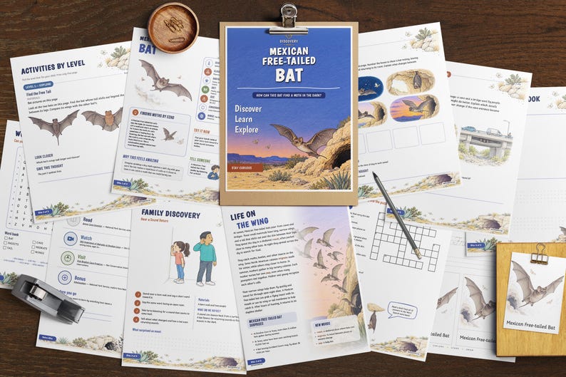 May include: A collection of educational activity sheets about the Mexican free-tailed bat, featuring illustrations of bats in flight, text, crossword puzzles, and diagrams. A wooden clipboard holds the main page, and a pencil rests on the papers.