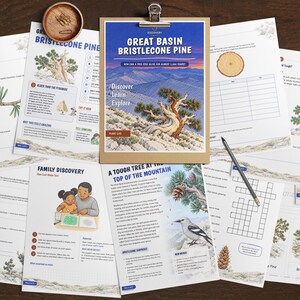 May include: A collection of educational activity sheets about the Great Basin Bristlecone Pine, featuring illustrations of the tree, a bird, and a family, alongside text, a pencil, a stapler, and two wooden clipboards on a dark surface.