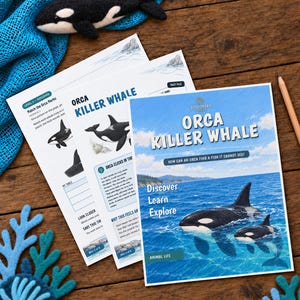 May include: A felt orca figurine, blue netting, and felt coral pieces accompany educational activity sheets and a booklet titled ORCA KILLER WHALE. The booklet features a photograph of two orcas in the ocean and the text Discover Learn Explore.