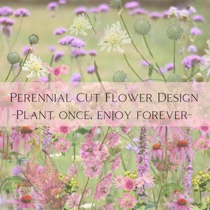 Könnte beinhalten: Ein Nahaufnahmebild eines Feldes mit rosa, weißen und violetten Blumen. Der Text "PERENNIAL CUT FLOWER DESIGN -PLANT ONCE, ENJOY FOREVER- " wird auf einem Banner in der Mitte des Bildes angezeigt.