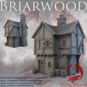 Dark Realms Briarwood House 1 | Fantasy Terrain for 28-32mm Tabletop RPGs & Wargames
