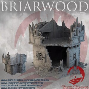 Dark Realms Briarwood House Ruin 1 | Fantasy Terrain for 28-32mm Immersive RPGs & Wargames