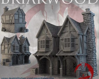 Dark Realms Briarwood Shop Set x4 | 3D-Printed Terrain for 28-32mm RPGs & Wargames like DnD and Pathfinder | Print-To-Order