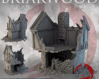 Dark Realms Briarwood House Ruin 3 | 3D-Printed Terrain for 28-32mm RPGs & Wargames like DnD and Pathfinder | Print-To-Order