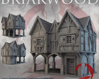Dark Realms Briarwood Shop 3 | 3D-Printed Terrain for 28-32mm RPGs & Wargames like DnD and Pathfinder | Print-To-Order