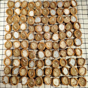 100 Floating Walnut Shell Candles – Eco Decor Celebrations – Rustic Party Lights