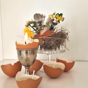 Peut inclure: Une collection de coquilles d'œufs avec des bougies à l'intérieur, disposées sur une surface blanche. Un petit nid d'oiseau avec une variété de fleurs est en arrière-plan.