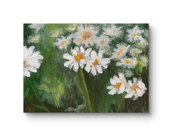 Daisies