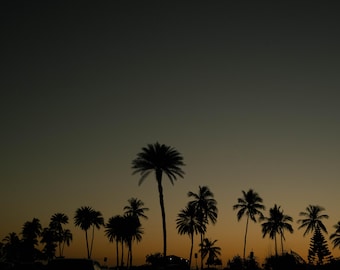 Hawai'i Sunset