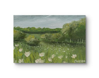 Among the Wildflowers