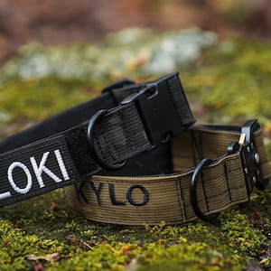 1.5 inch tactical dog collar