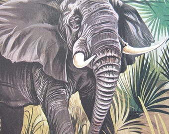 Vintage Elephant Print: 1970s Children's Book Art