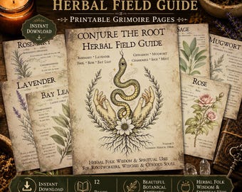 Conjure The Root Herbal Field Guide | Herbal Correspondences Printable | Grimoire Pages PDF | Common Magical Herbs