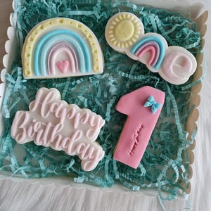 1st Birthday Fondant Cookies Birthday Party Favors Personalized Cookies