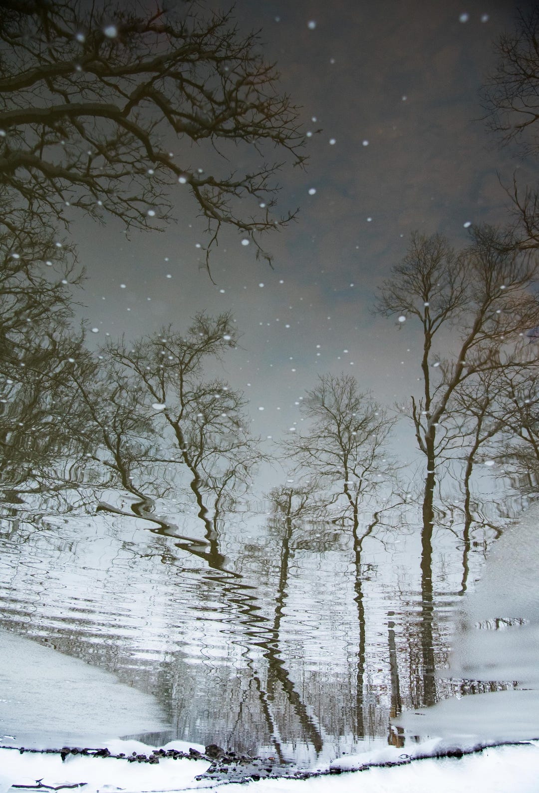 Snowfall Lake Reflection, Cold Snowy Winter, Fine Art Photography ...