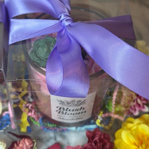 Blush Bloom Soy Candle: Floral Fruit Accents, Amber & Driftwood Scent