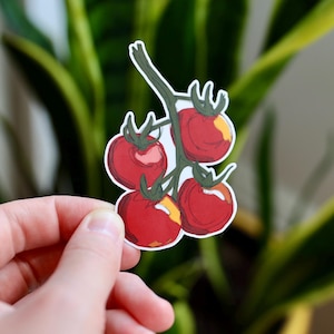 Tomatoes on the Vine Vinyl Sticker | Cute Tomato Illustration for Laptops, Journals, Planners, and Water Bottles  | Water Resistant