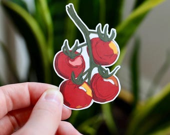 Tomatoes on the Vine Vinyl Sticker | Cute Tomato Illustration for Laptops, Journals, Planners, and Water Bottles  | Water Resistant