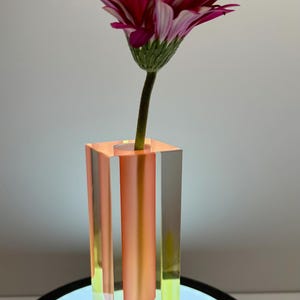 Puede incluir: Un jarrón rectangular transparente con un degradado de tonos amarillos, naranjas y rosas, que contiene una margarita con pétalos magenta y blancos. El jarrón está sobre una superficie iluminada.